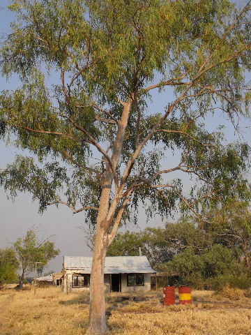 The old Homestead.very remote