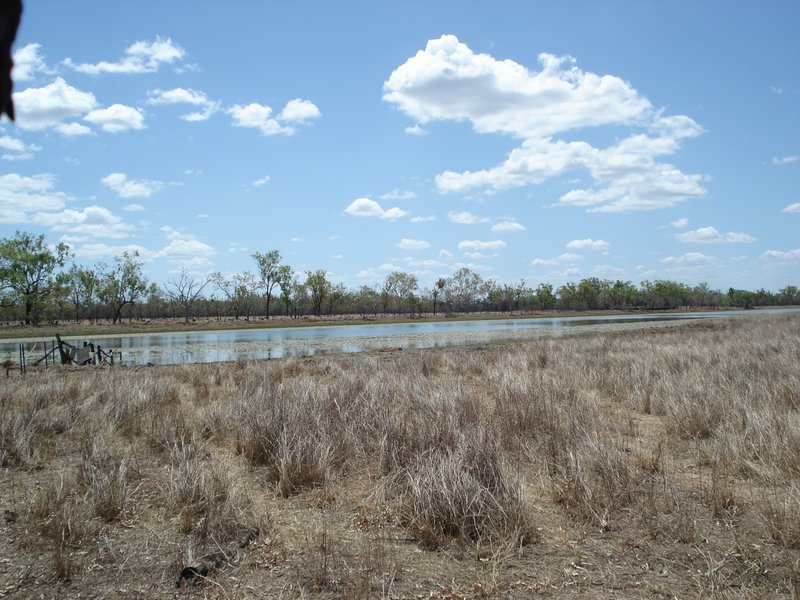 A large swamp on the place