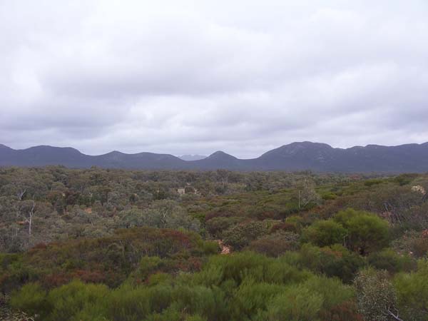 Wilpena Pound Flinders Ranges