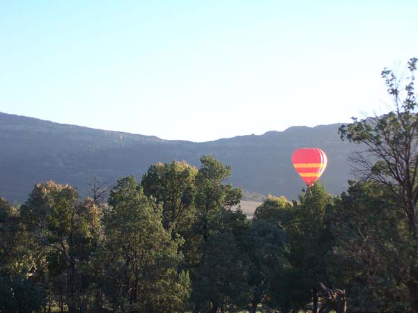 Hot air balloon flying over Wilpena