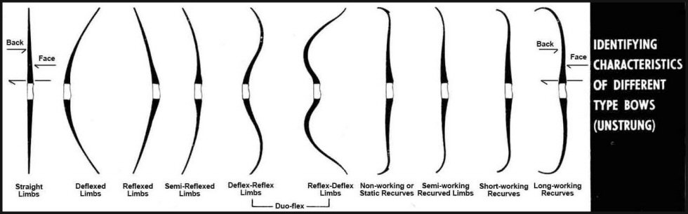 Different Limb Designs.jpg