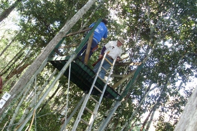 scrub bull and jim in tree stand