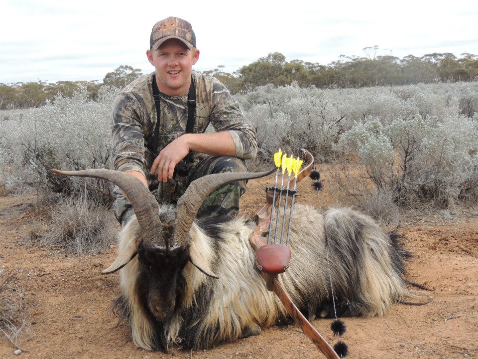 Young billy arrowed from 25m broadside, arrow took out the spine and dropped on the spot