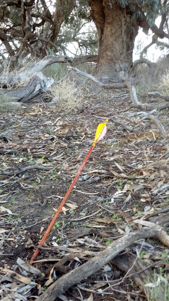 The arrow as I found it after the pass through
