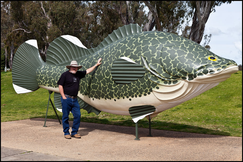 The only Murray Cod I have ever caught.