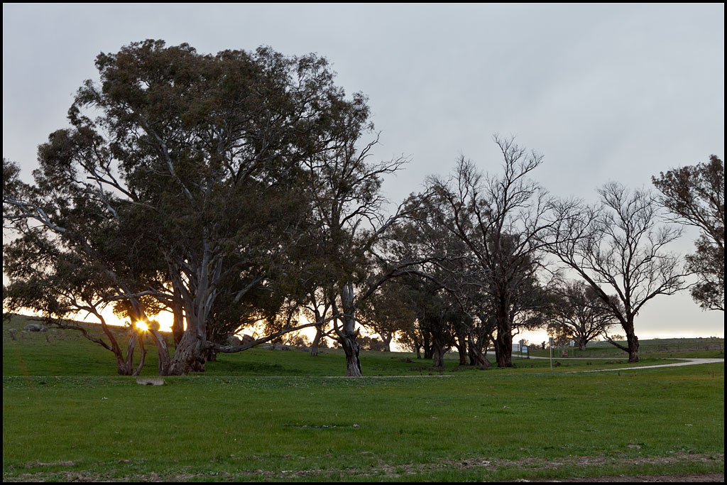 Looking up the hill from camp to the entrance to the dam reserve.