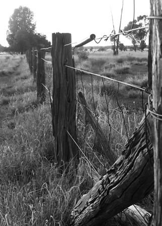 ...the obligatory western property fence shot :)