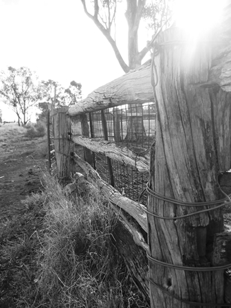 Cattle yards.