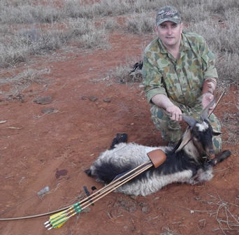 My only goat for the trip.  Taken with my 70' 64@28 Gringa Longbow.  Using Port Orford Cedar shafts, tipped with 160 grain STOS heads.  18m shot.