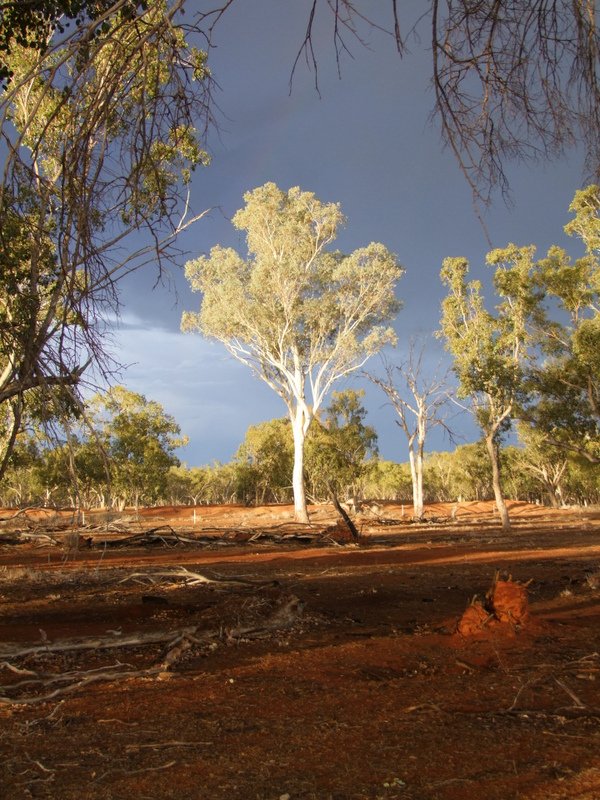 To capture the true colours of the outback.