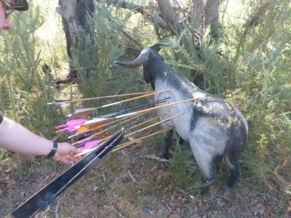 Totaling up the score. Summa's shot is the yellow fletched arrow right in the middle from the previous photo