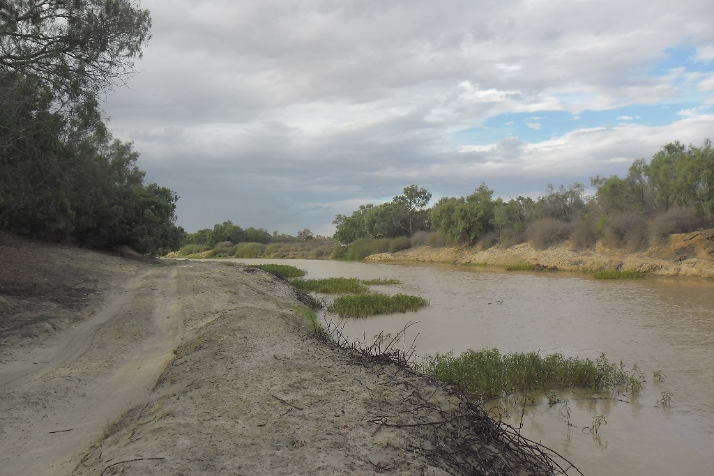 Diamantina River.jpg