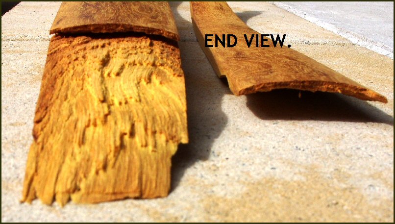 End View.jpg