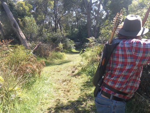 Les Bishop shooting is osage orange selfbow at the elk