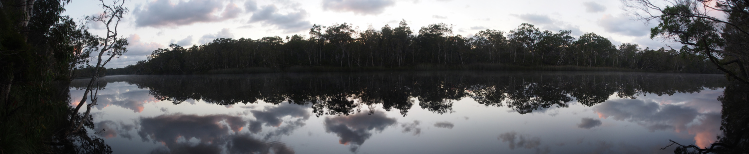 Noosa River