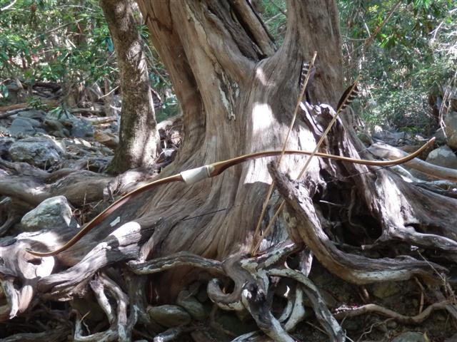 Acacia Mangium static recurve