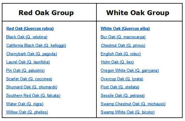 Oak Group.jpg