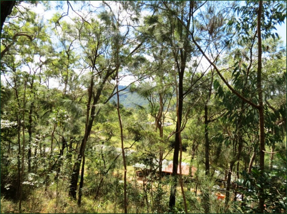 View Towards Camping Area.jpg