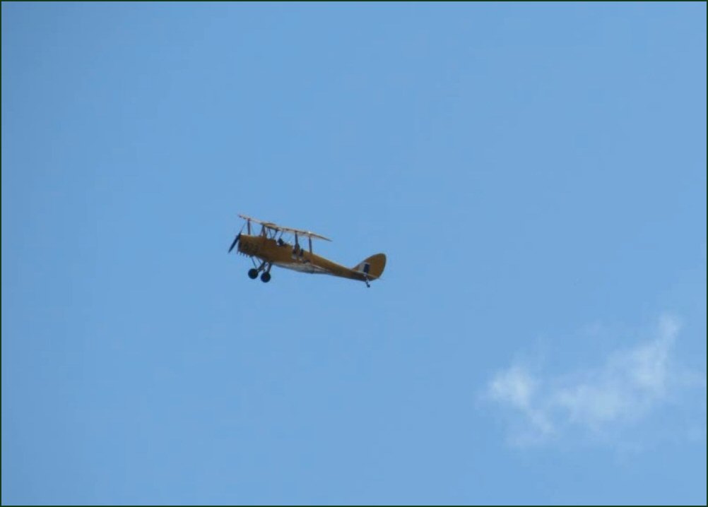 Tiger Moth.jpg