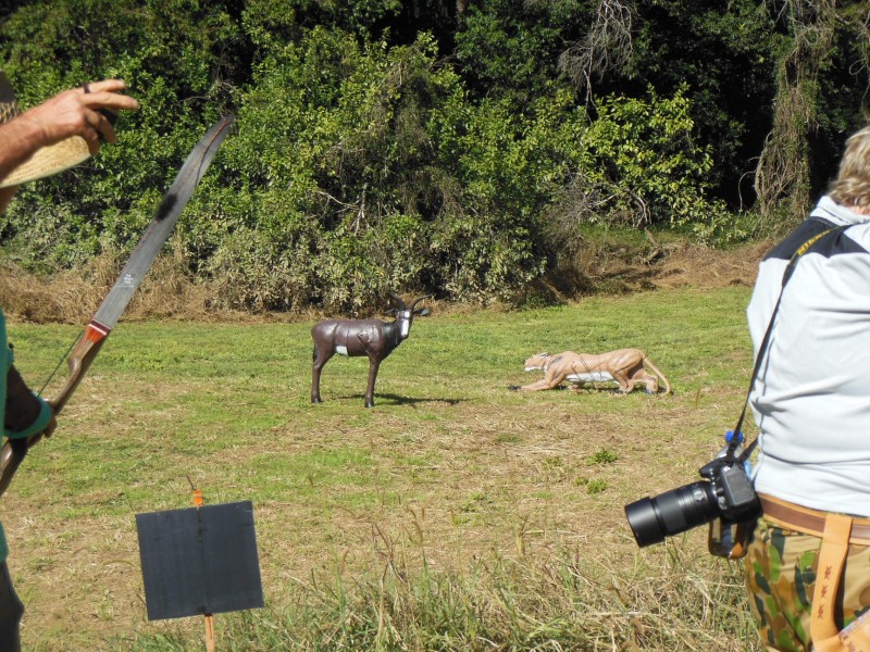 lioness and wilderbeest.JPG