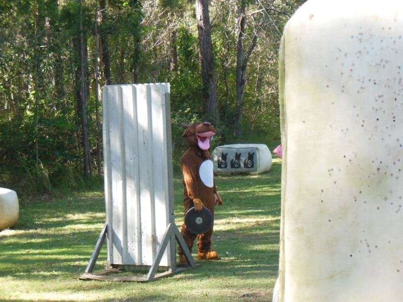 disk throwing moose