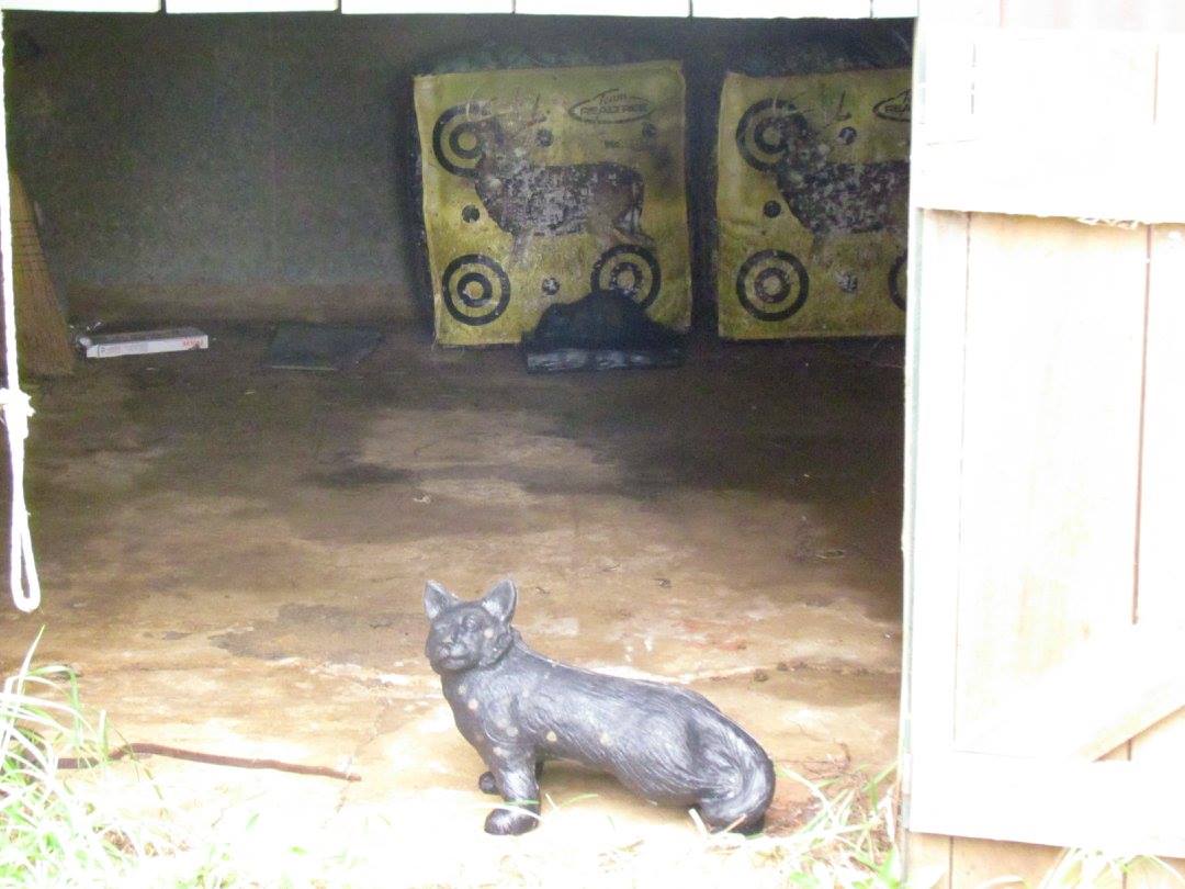 Cat and rat in the saddle shed.