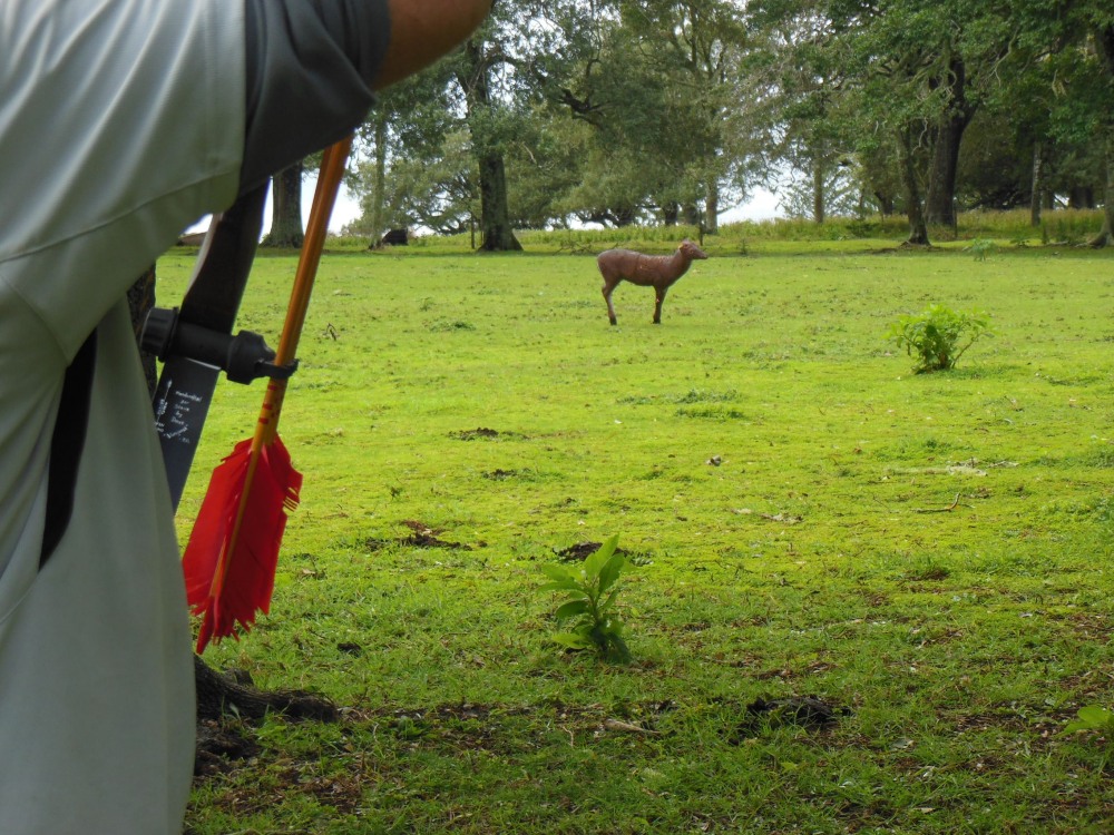 The last property where we shot quite a few targets.