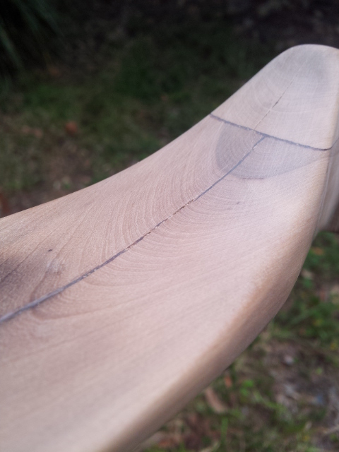 Growth Rings at fades.jpg