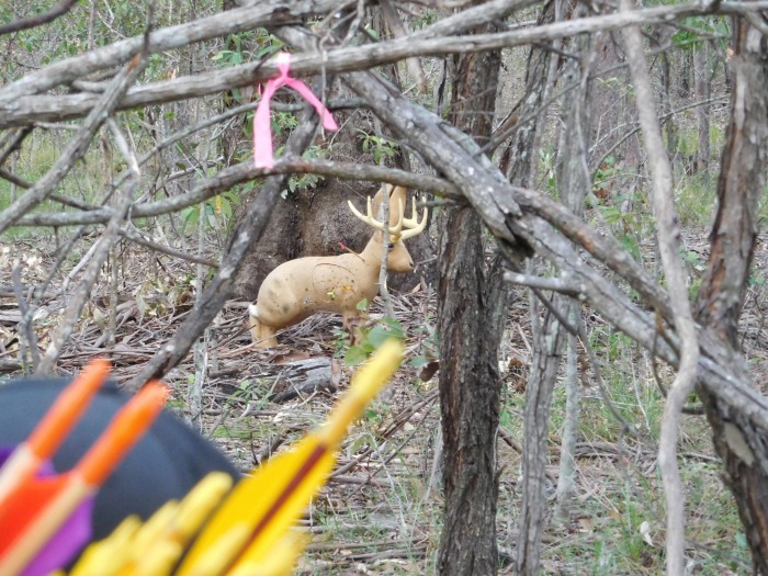 jackalope