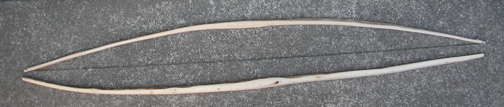 Soapwood Staves.JPG