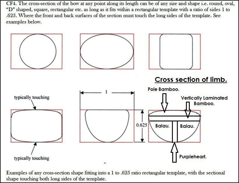 4 Limb Cross Section Of Bow.jpg