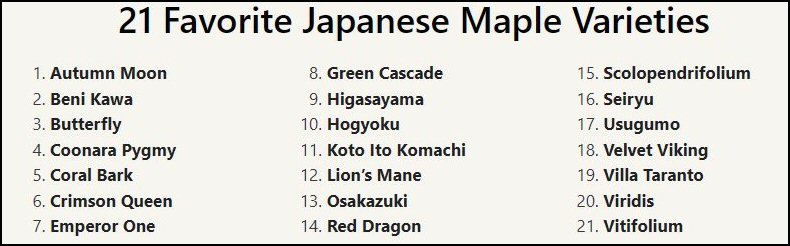 Varieties Of Japanese Maple.jpg