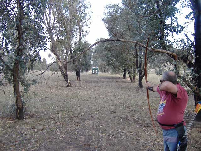 Nice little corridor with over hanging branch for that extra bit of difficulty.