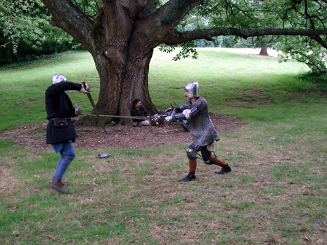 A couple of the boys strutting their stuff with longswords
