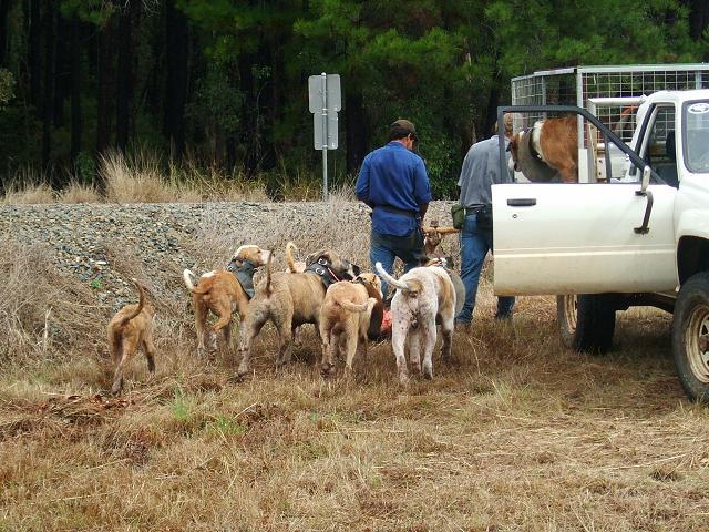 general hunting pack