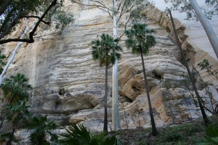 the massive cliff faces of canarvan gorge Qld